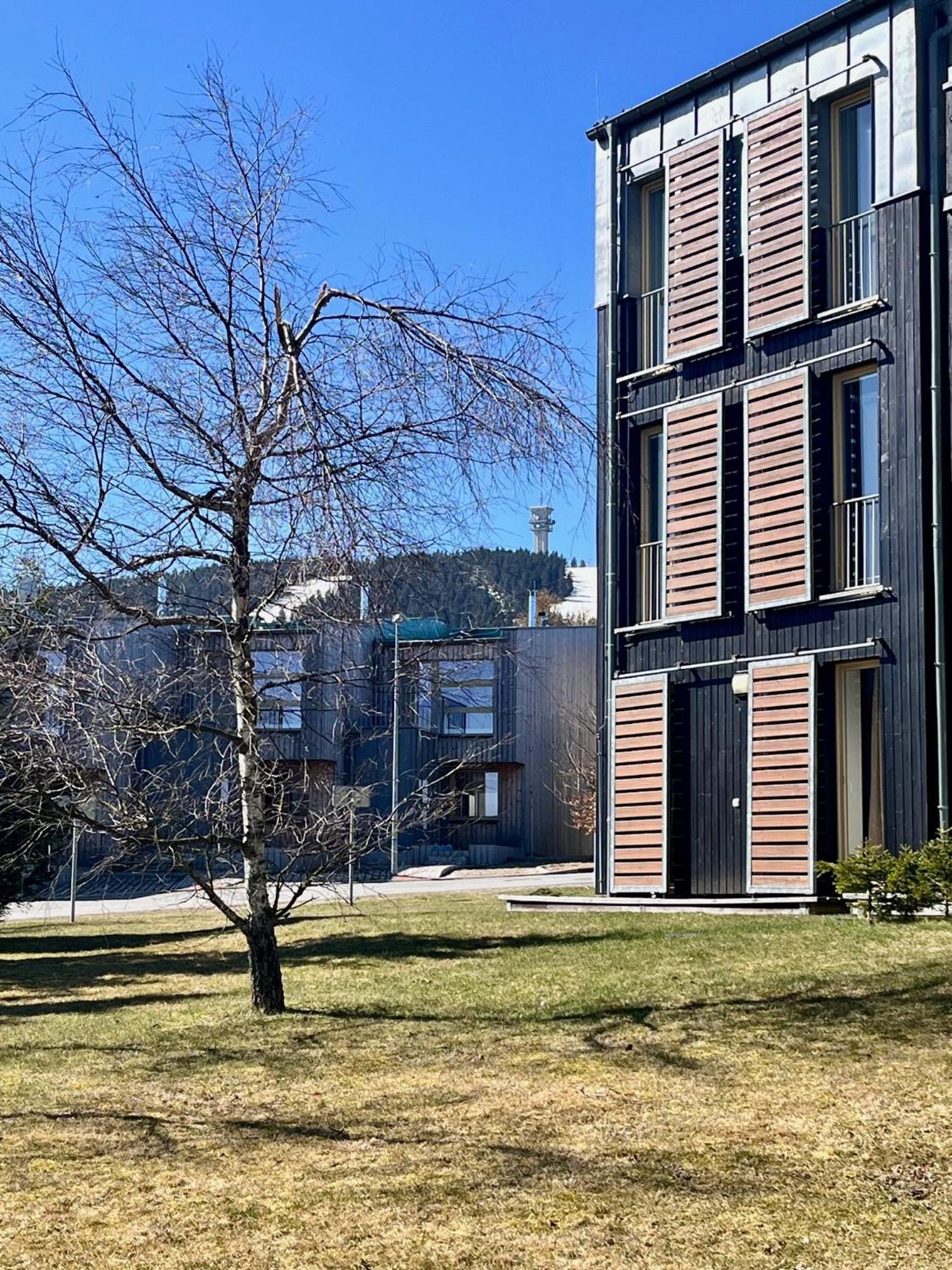Meadows Apartments Klinovec Loucna pod Klinovcem Exterior photo
